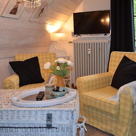Ferienwohnung Seeblick Nr 4 2-Zimmer, Baerental, Feldberg Rotwasser Dış mekan fotoğraf