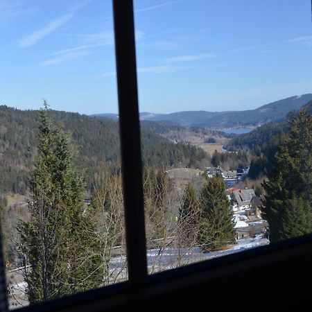 Ferienwohnung Seeblick Nr 4 2-Zimmer, Baerental, Feldberg Rotwasser Dış mekan fotoğraf
