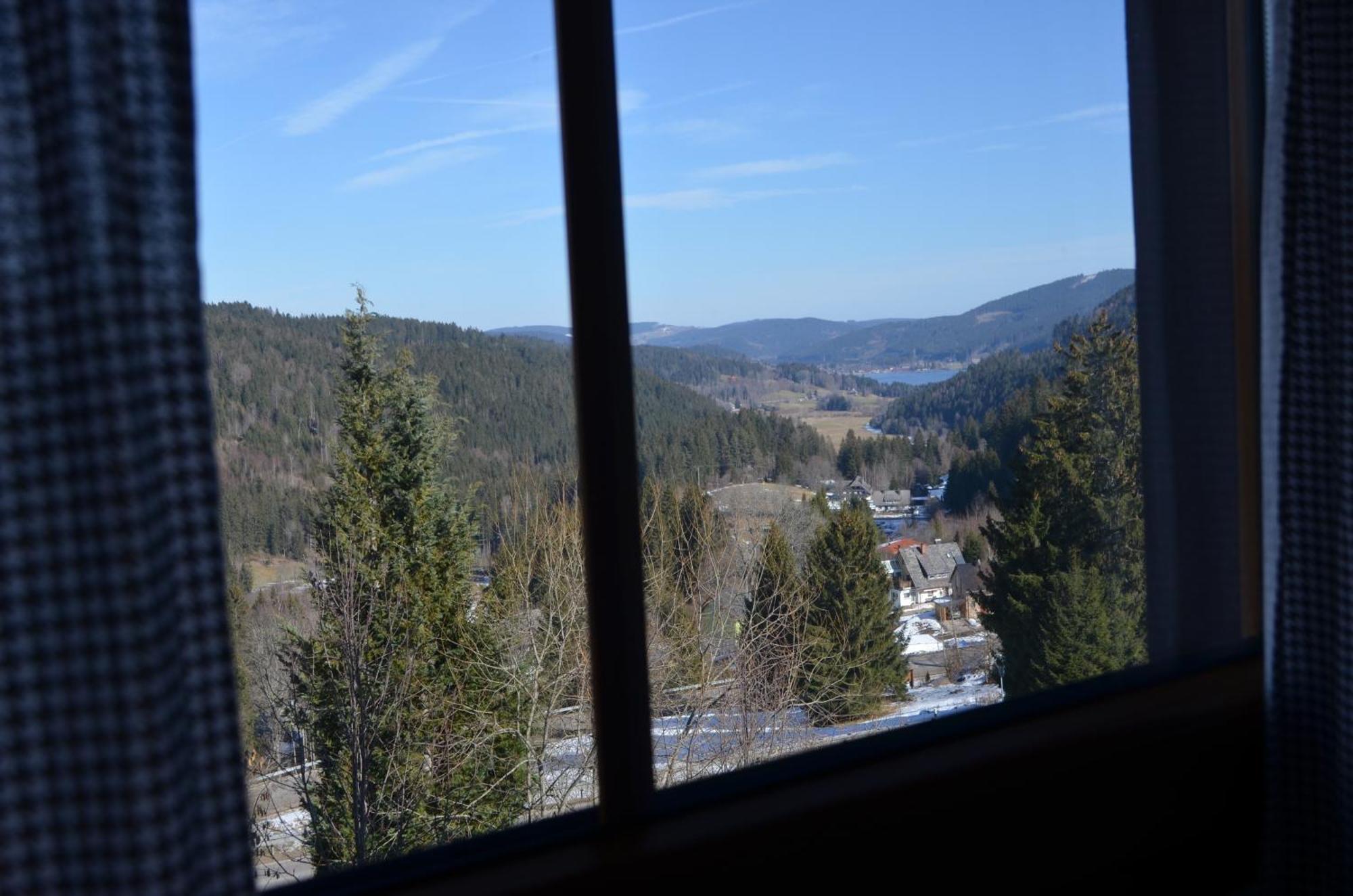 Ferienwohnung Seeblick Nr 4 2-Zimmer, Baerental, Feldberg Rotwasser Dış mekan fotoğraf